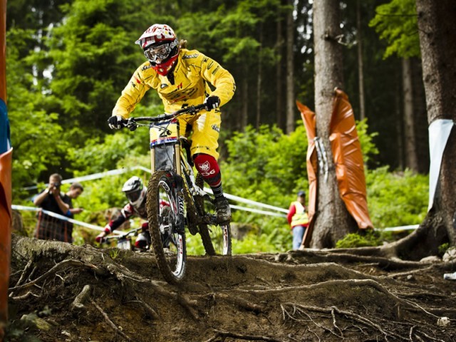 Ferienhaus Niedermoser