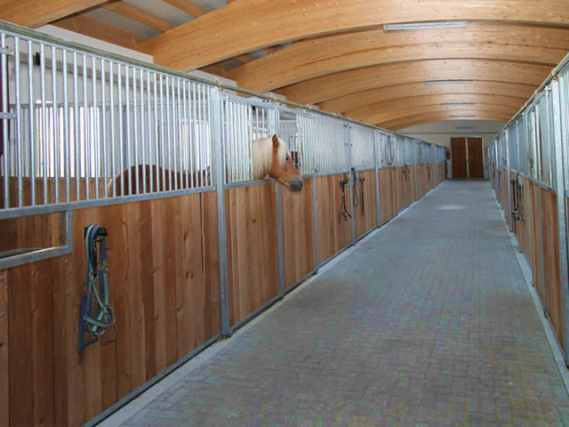 Reitanlage Jodlgut in Salzburg