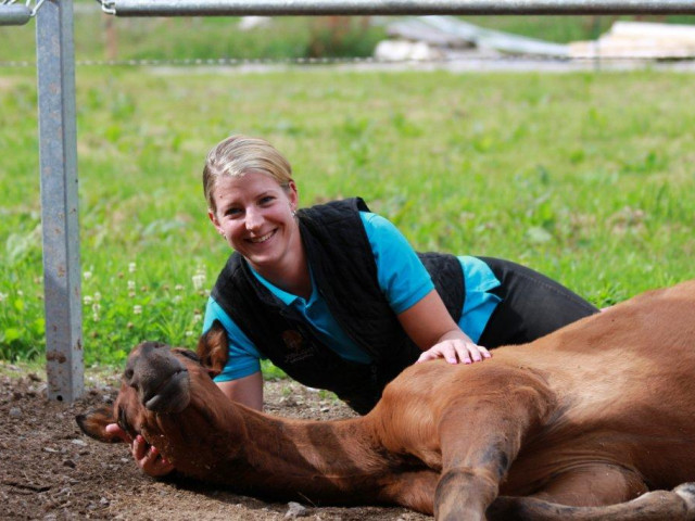 Reitanlage Jodlgut in Salzburg