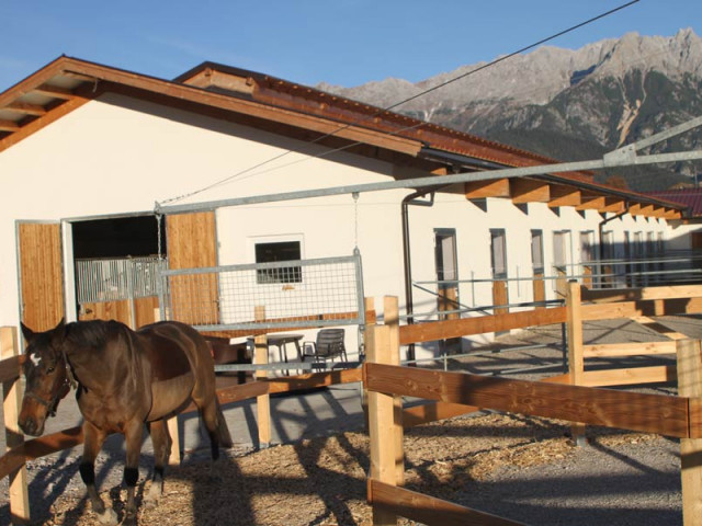 Reitanlage Jodlgut in Salzburg