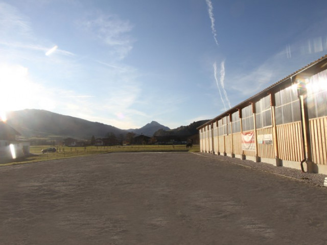 Reitanlage Jodlgut in Salzburg