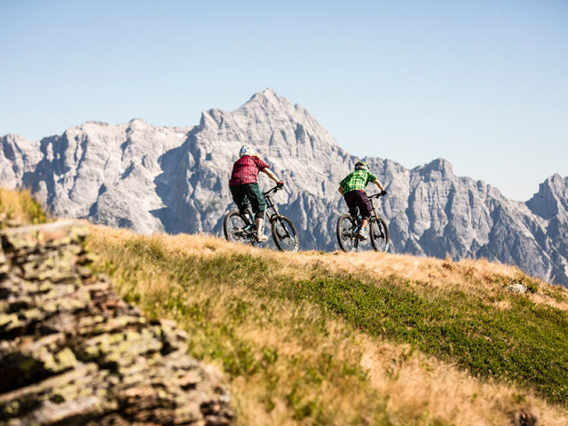 Hainzbauernhof & Ferienhaus Müllauer