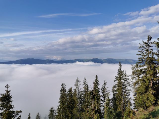 Steiner's Wellness-Appartements